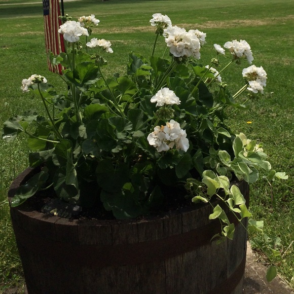 Meet your Posher, Cheryl - Picture 1 of 1